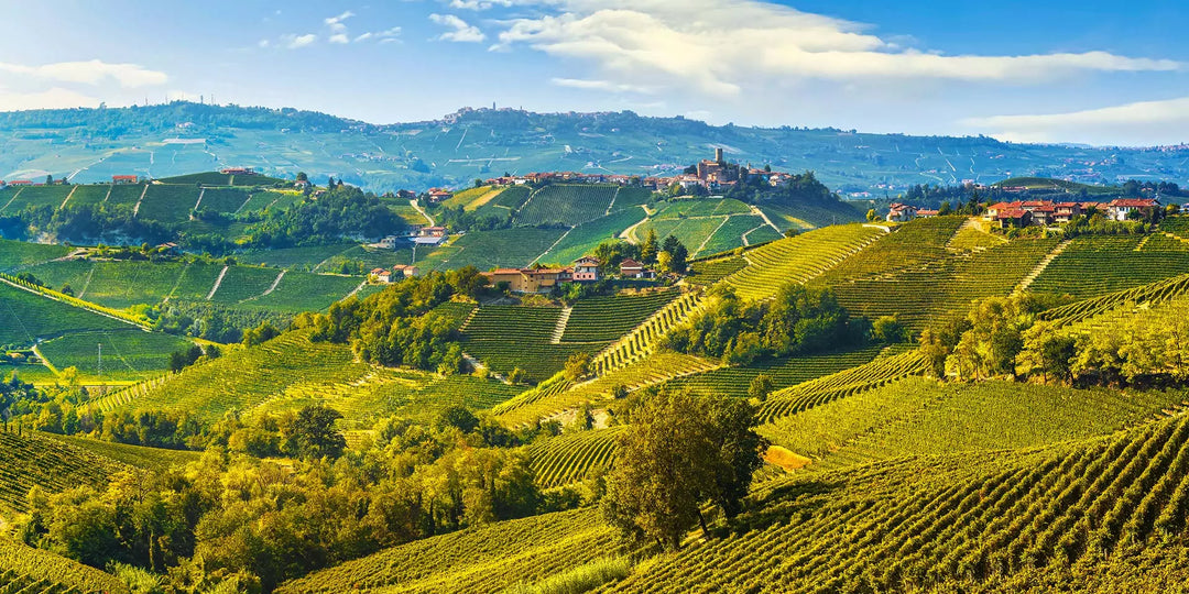 Piedmont