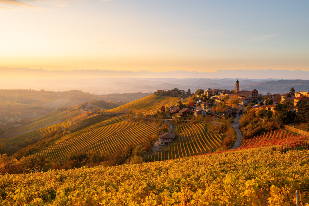 Langhe e Roero