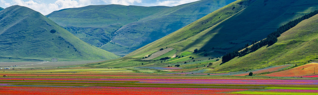 Umbria